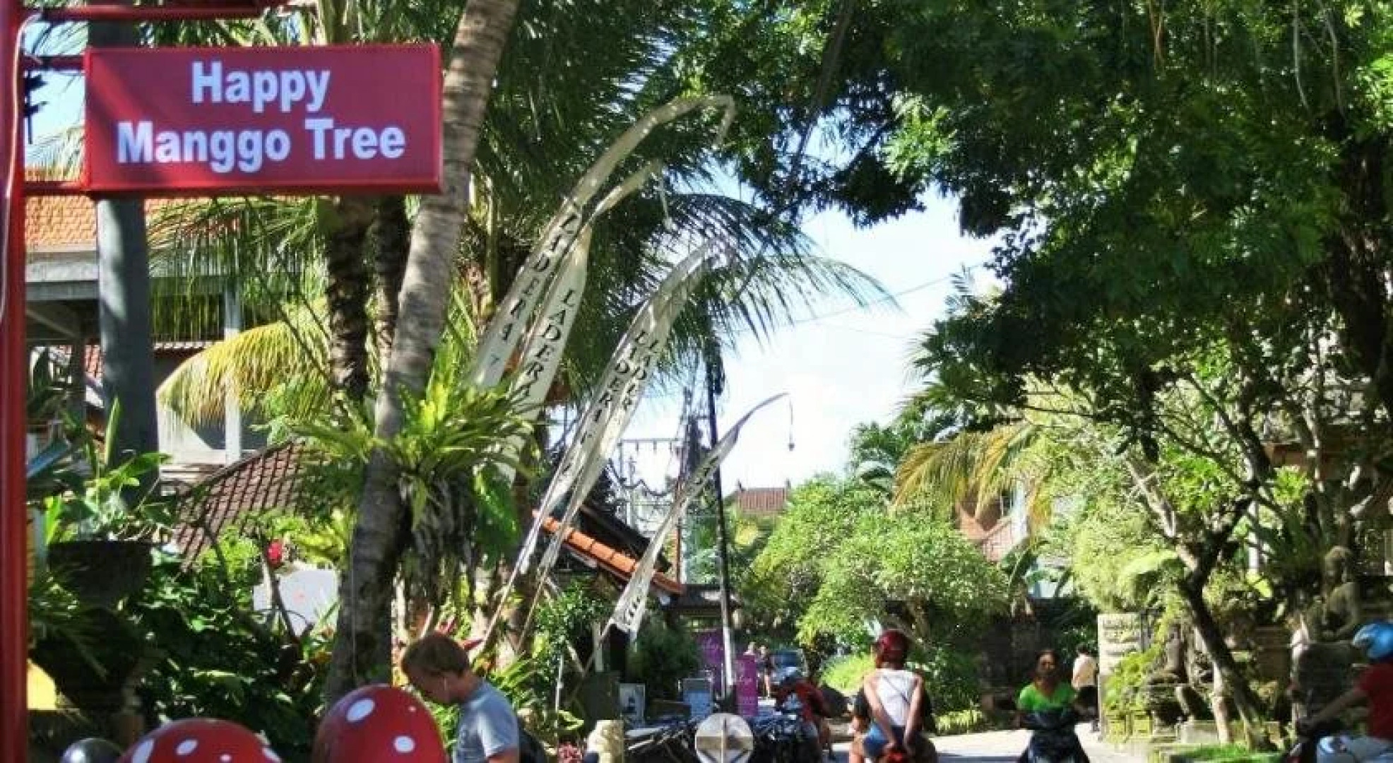 The Happy Mango Tree