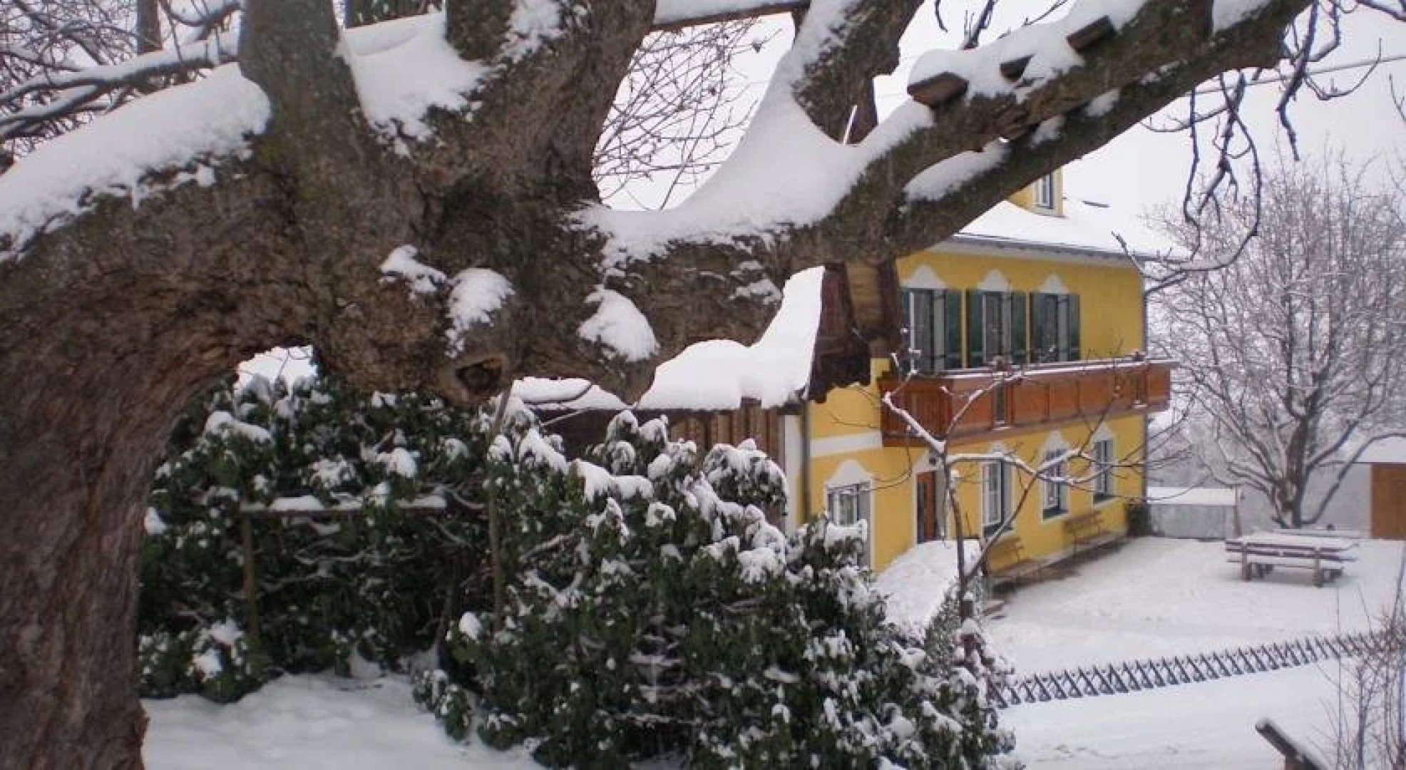 Wiesenbauer - Schlögl Anton