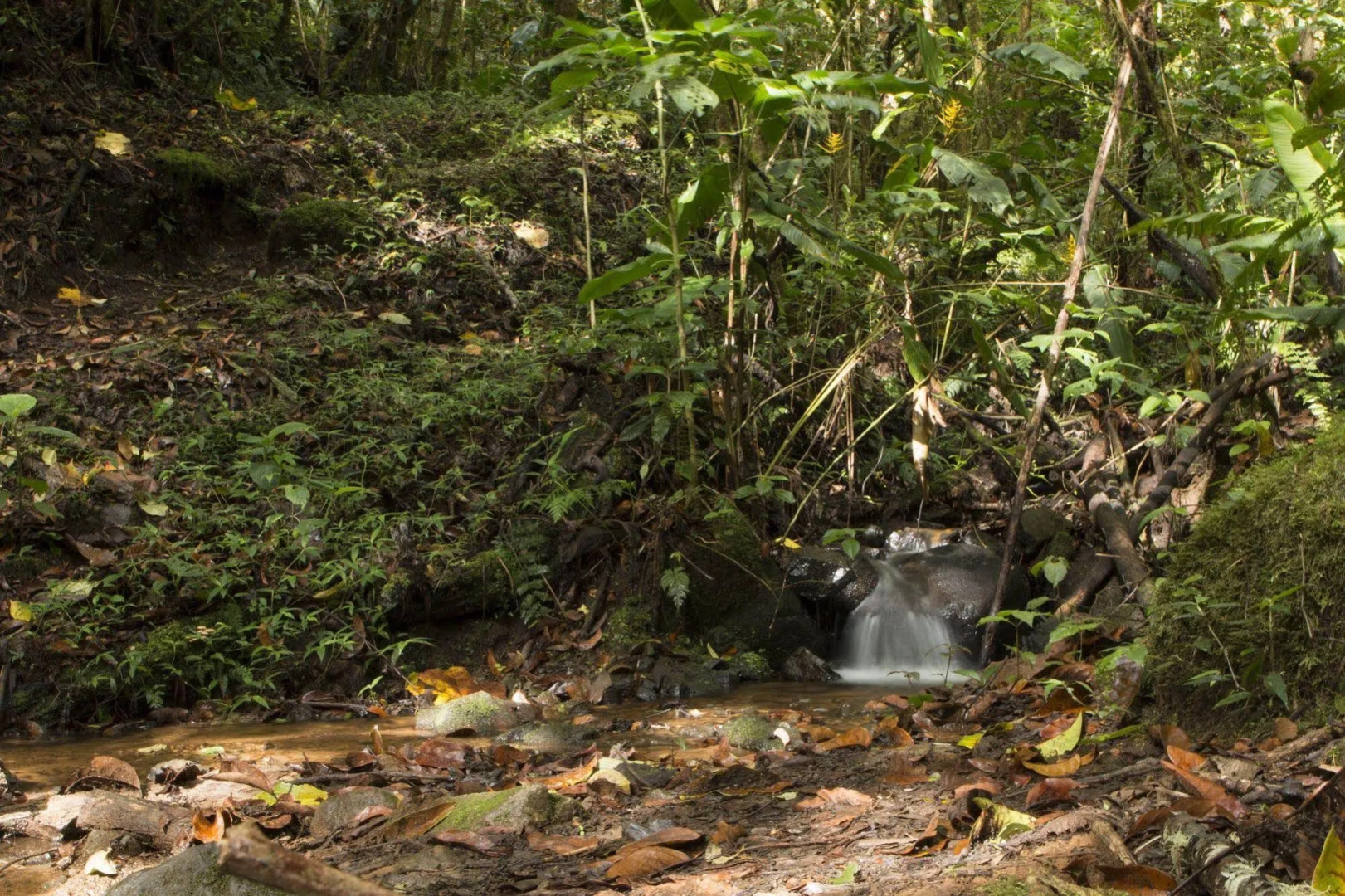 Savegre Hotel Natural Reserve & Spa