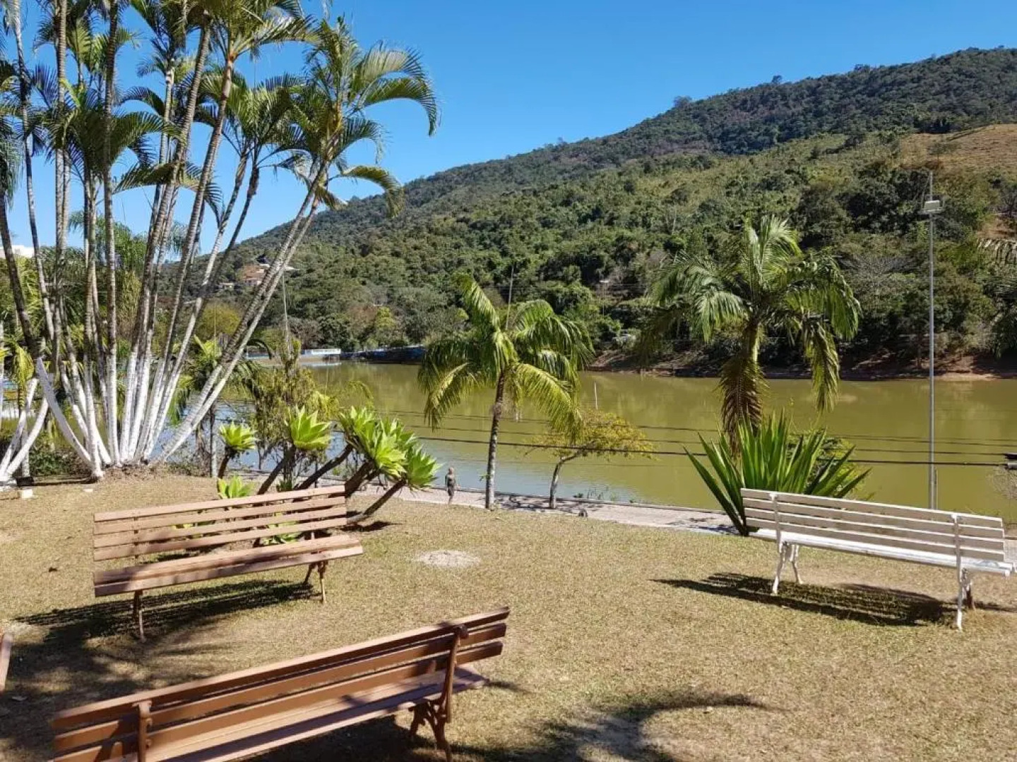 Cavalinho Branco Apartamento