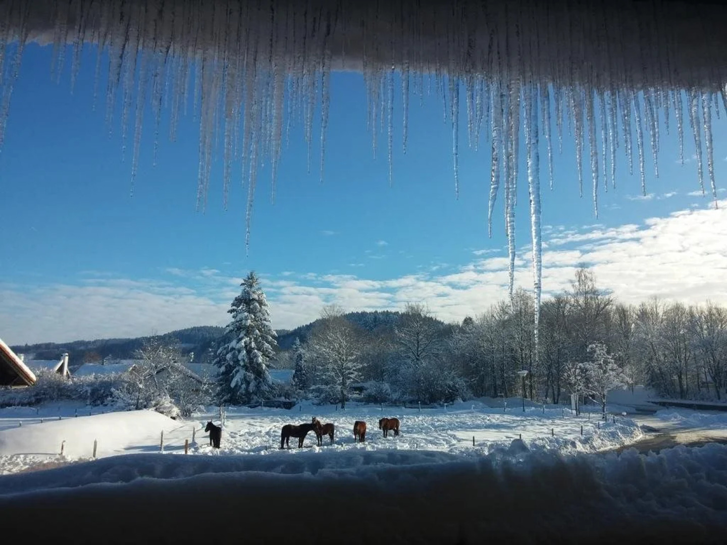 Landgasthof Lindenhof