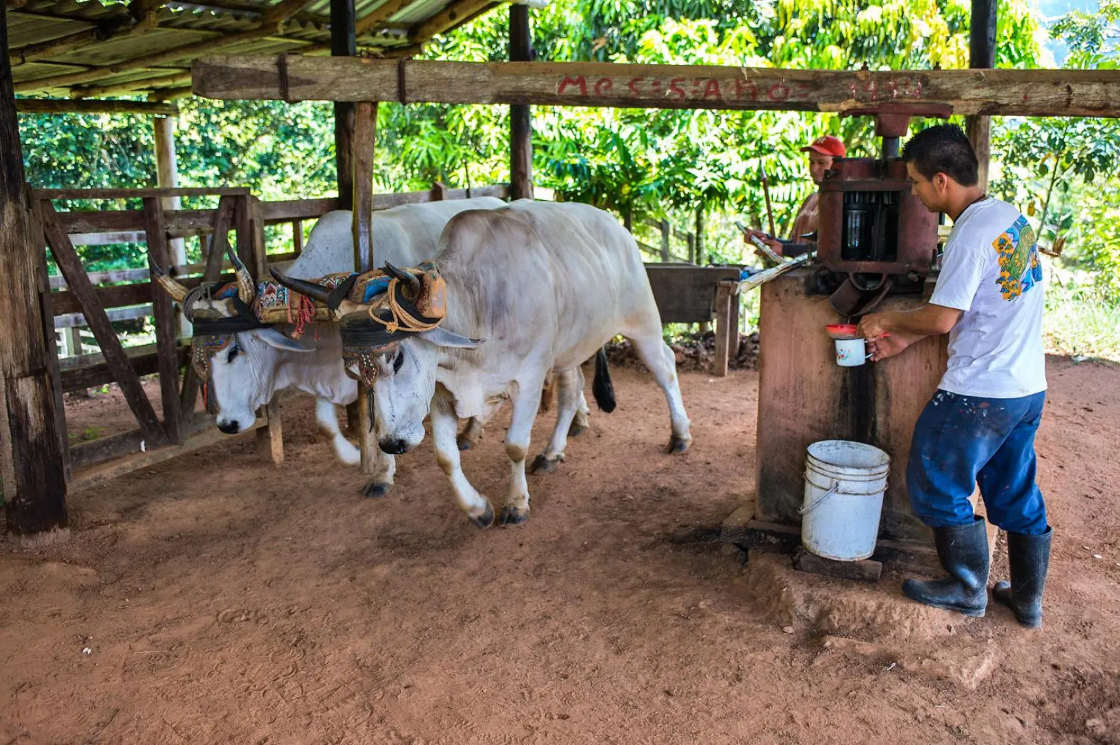 Santa Juana Lodge and Nature Reserve