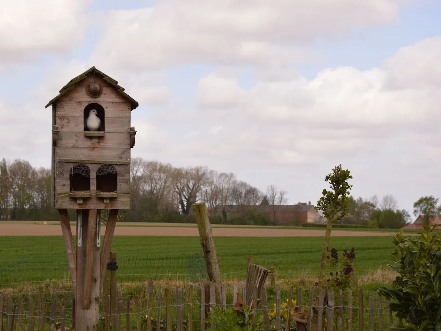 Charming Holiday Home in Hondschoote With Terrace