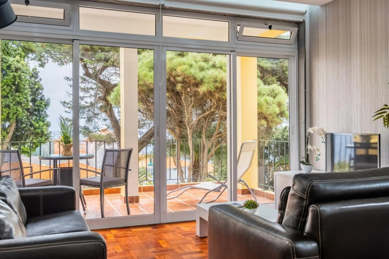 Cani o Sea Garden by Homie