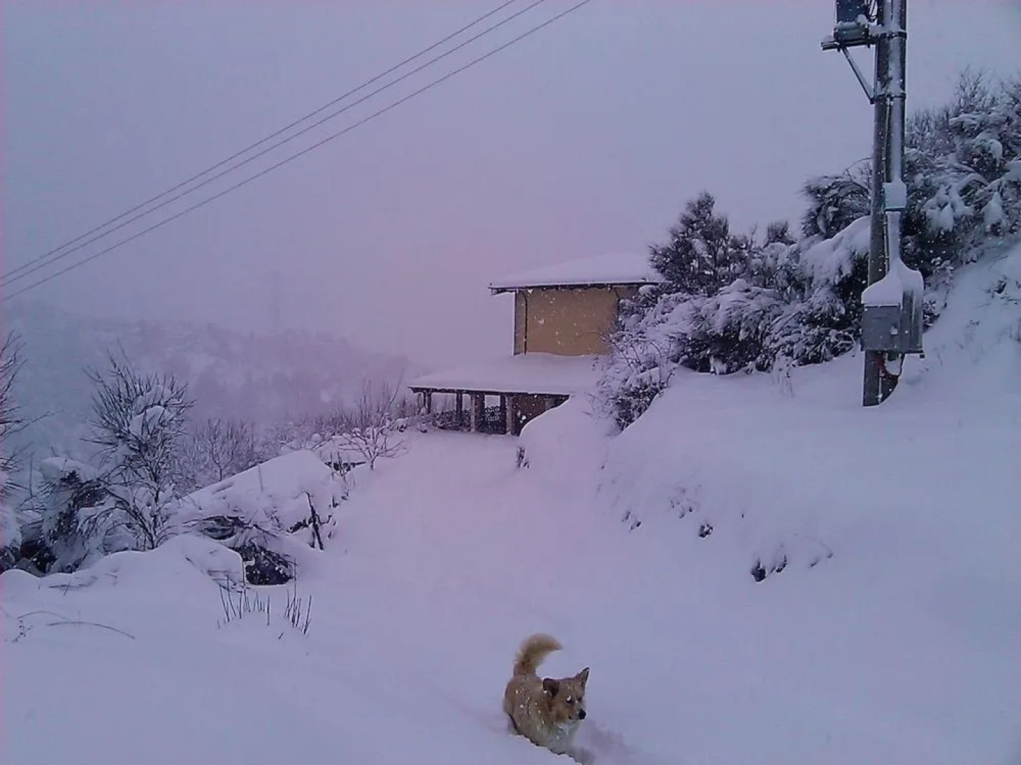 B&B Il Ghiro - Country House