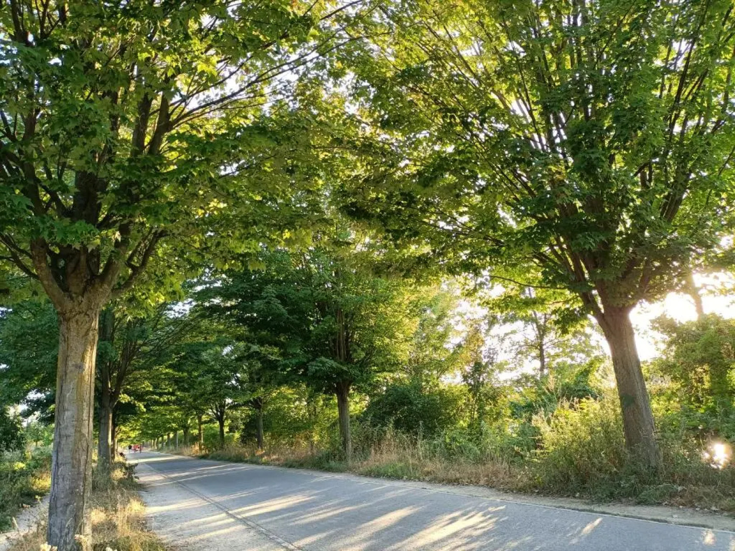 Superbe appartement à 12 min de la défense
