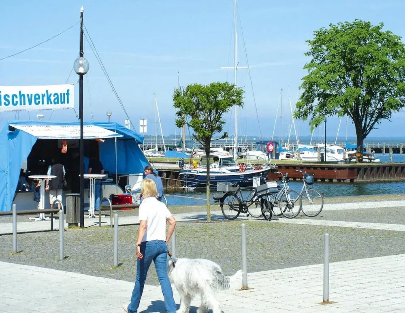 Ferienhaus, Ribnitz-damgarten