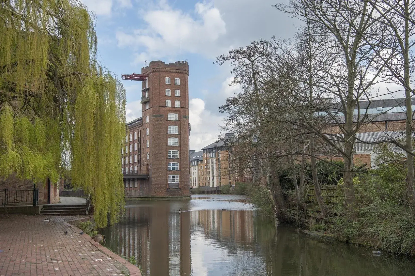 Chocolets - The Yorkie Suite