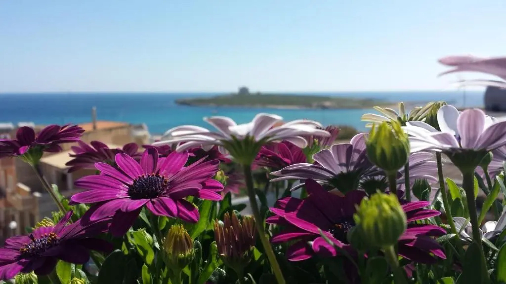 Apartments TERRAZZA DEI DUE MARI