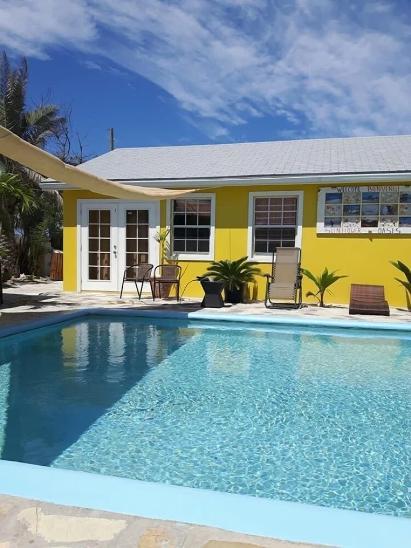 Sunflower Oasis