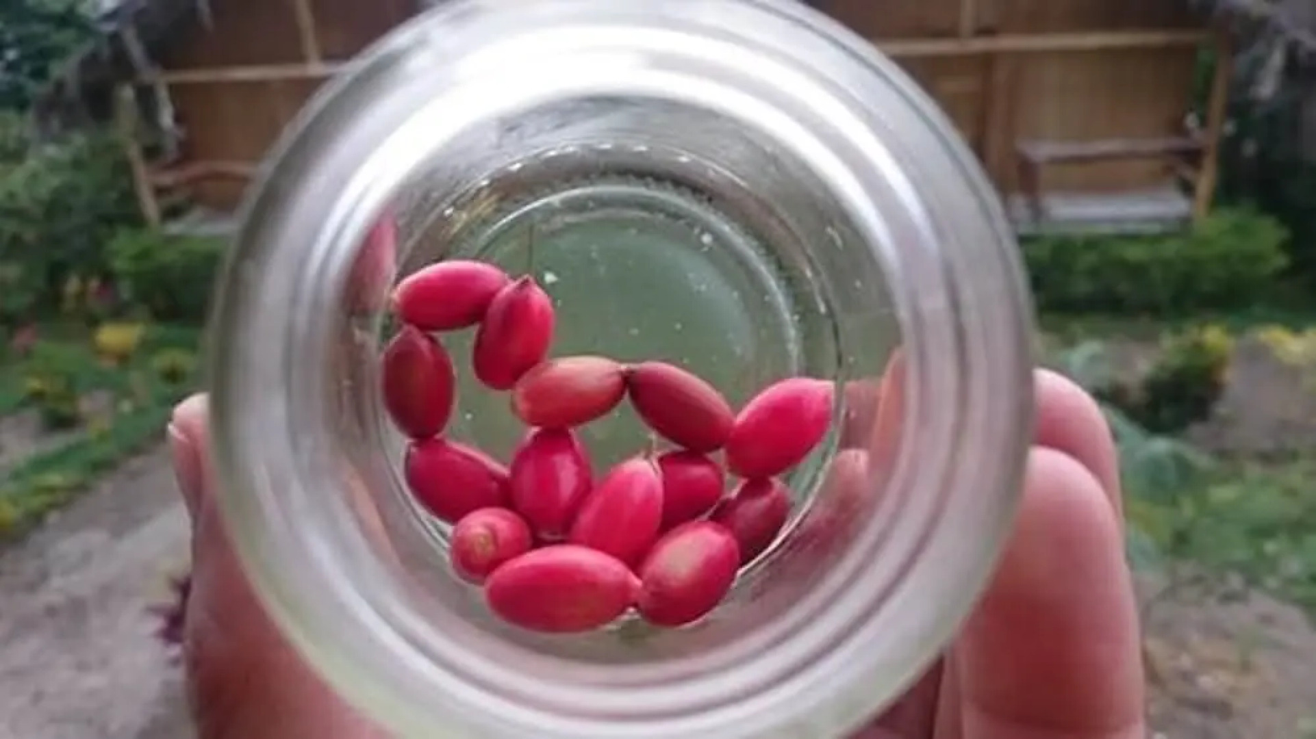 Hostería Piedra de Vapor