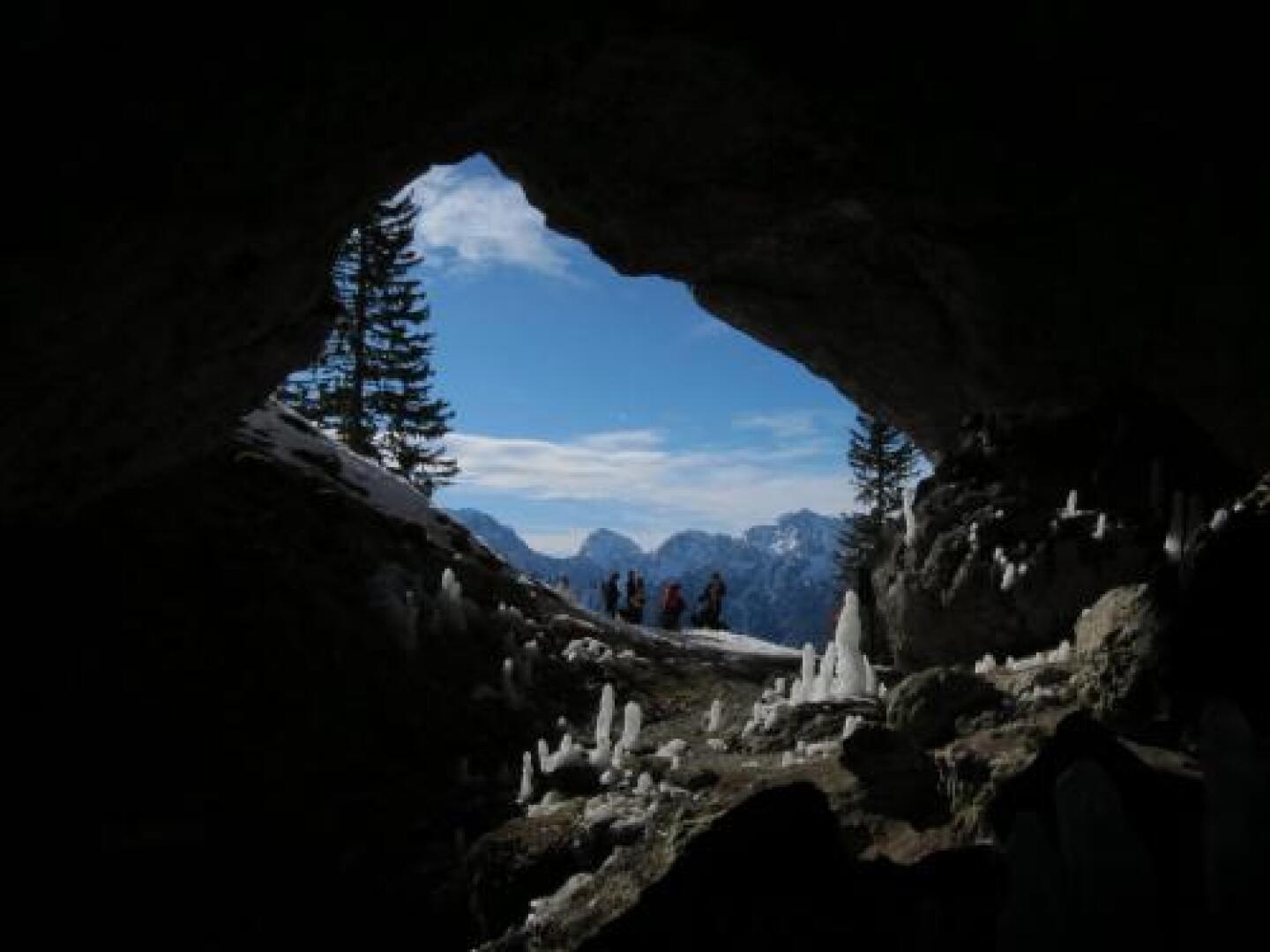 Guest House Pri Rogovilcu