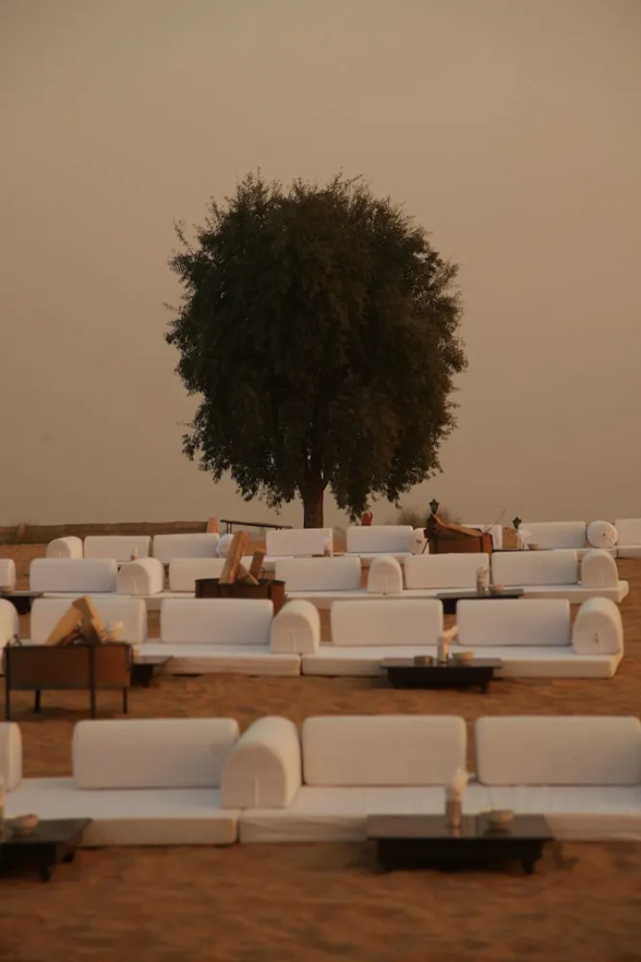 Thar Oasis Resort & Camp