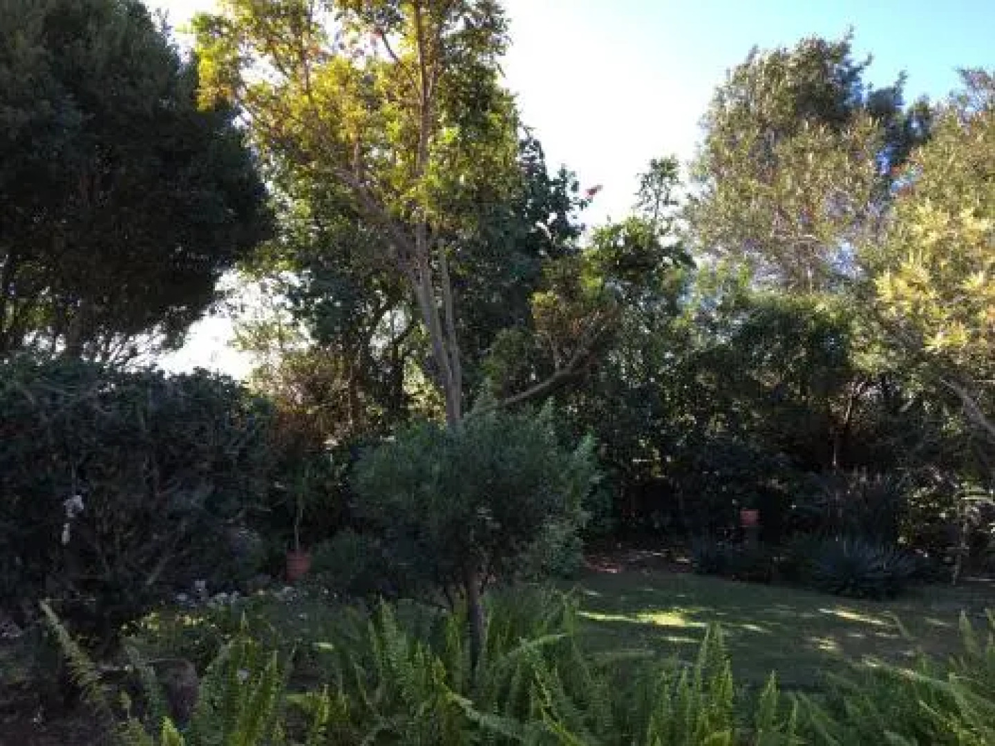 Diamond Holiday Place