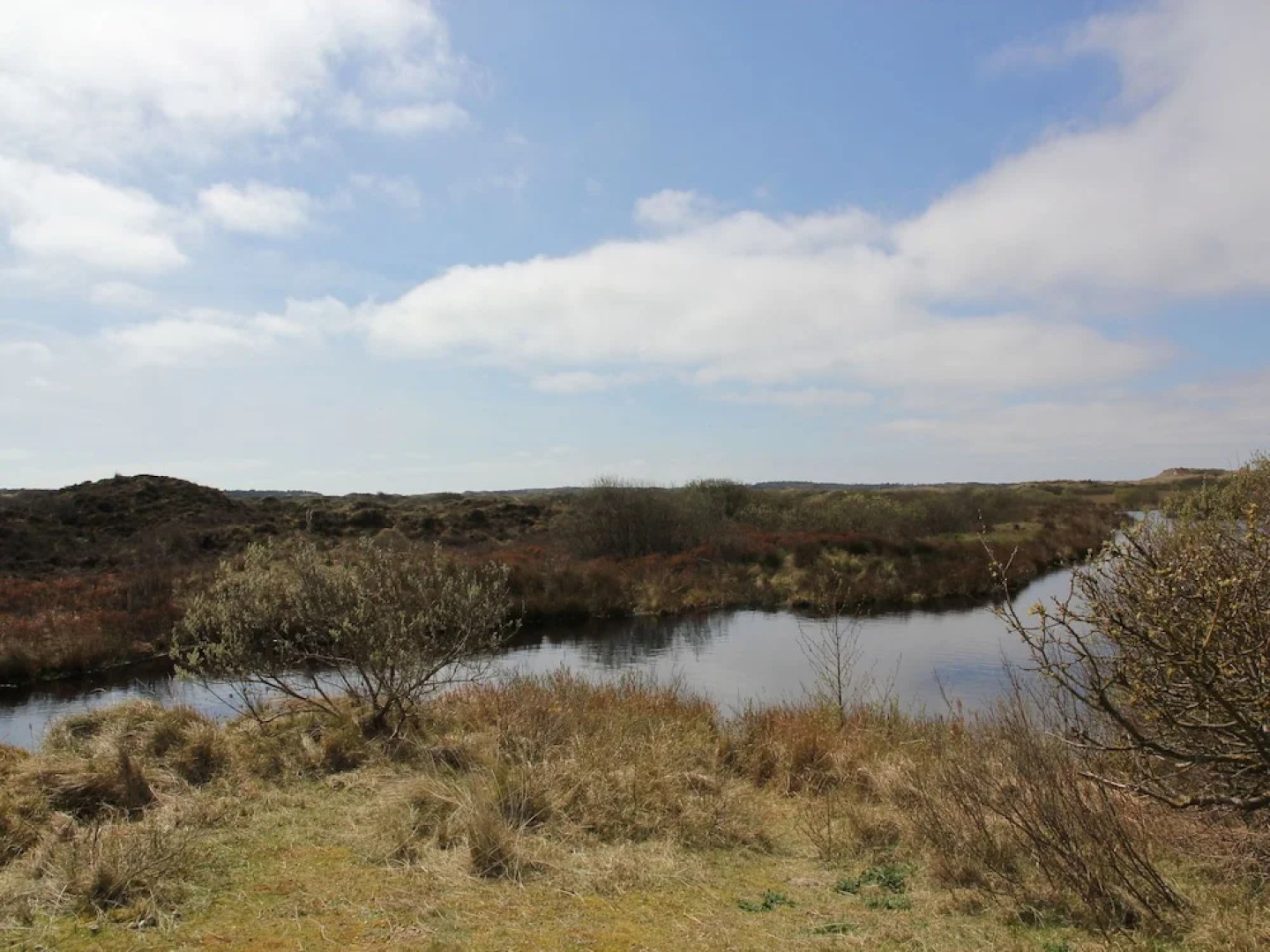 Modern Cabin Near Sea in Oosterend Terschelling