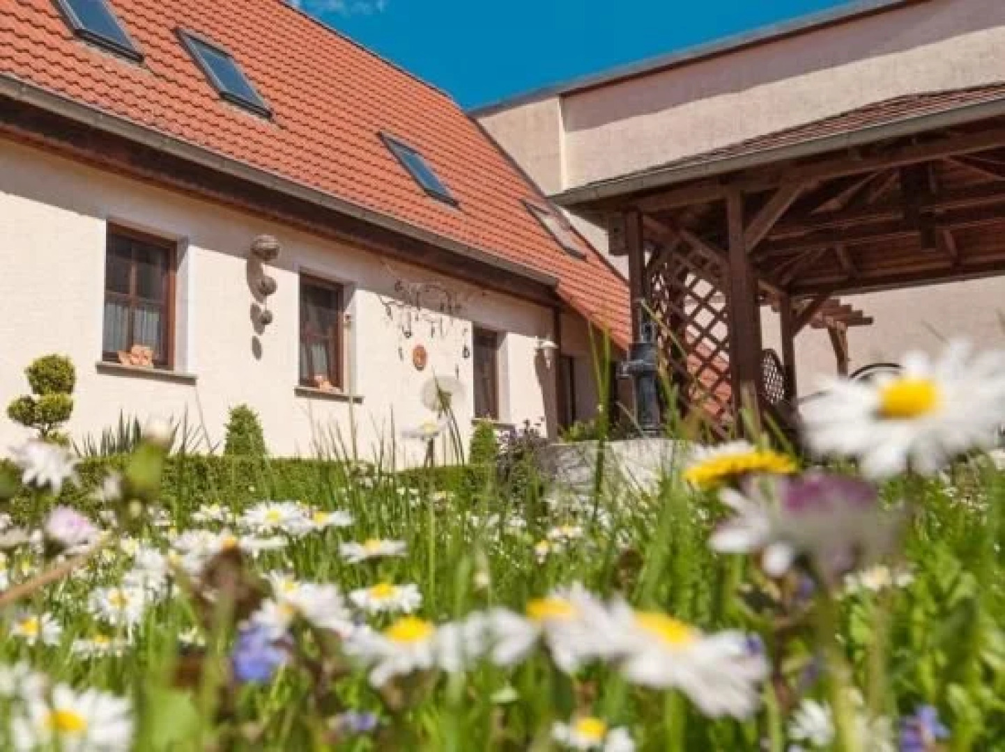 Apartments Vier Napoleonslinden