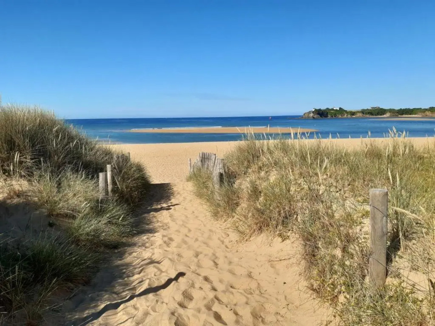 Magnifique T3 Vue Mer