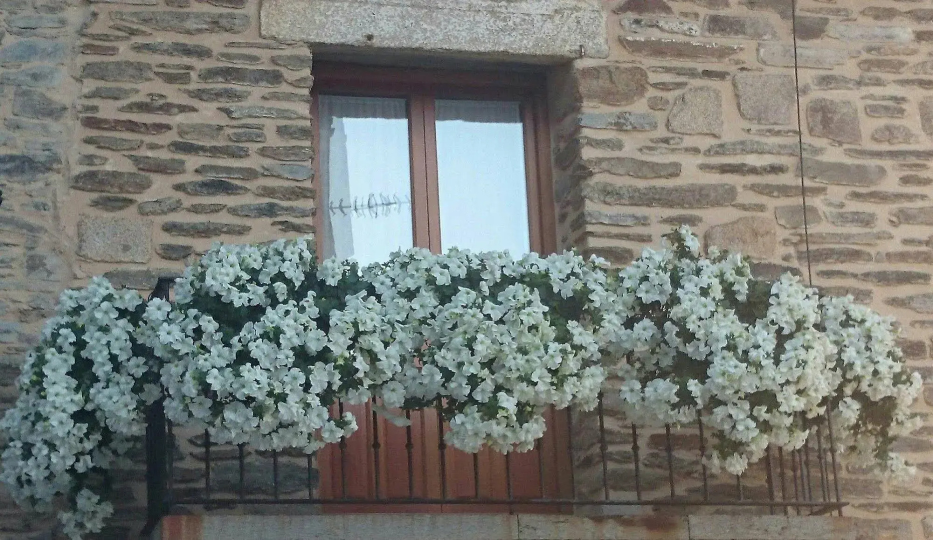 Posada Real La Pascasia