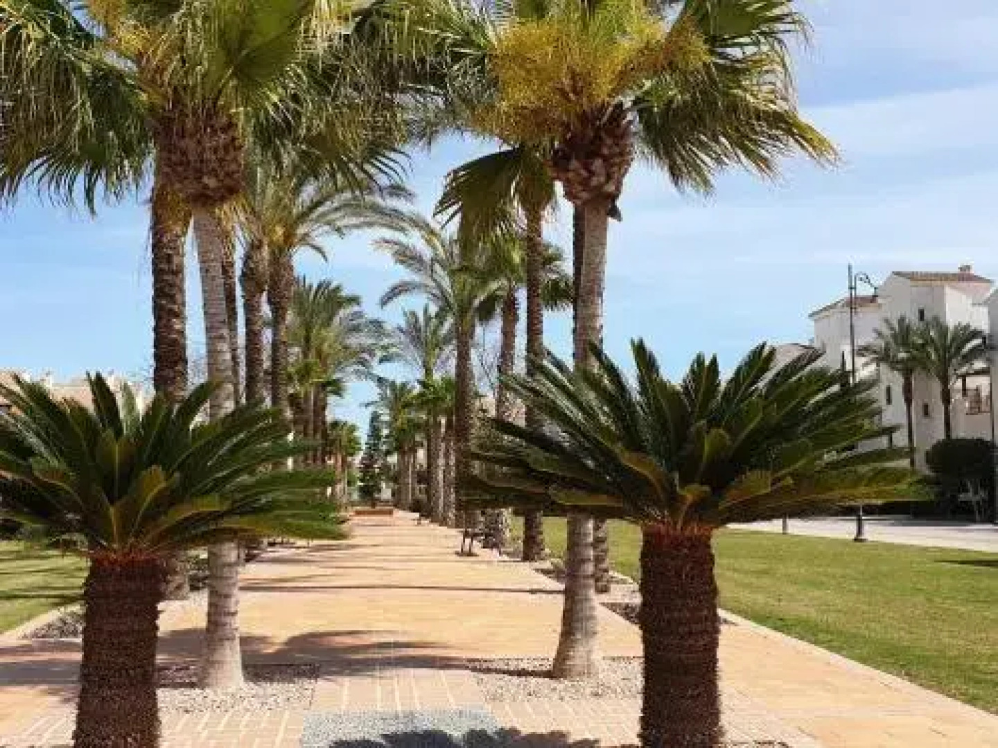 Casa Boga 18 - A Murcia Holiday Rentals Property