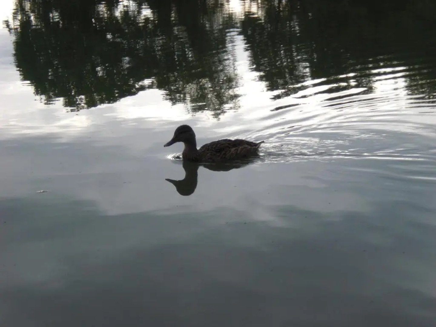 Hotel Garni Eichhornkobel