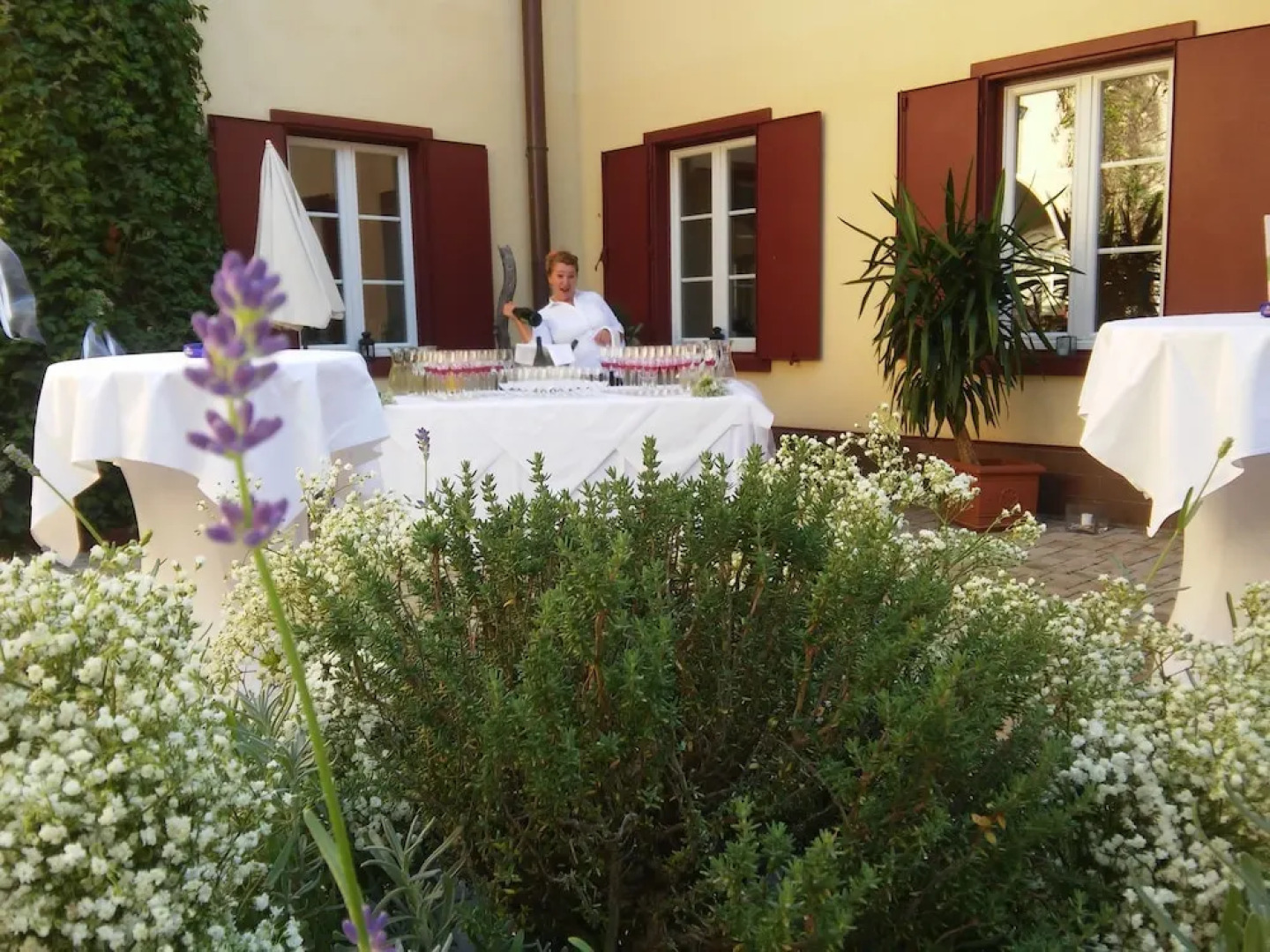 Hotel Restaurant Gut Drasing