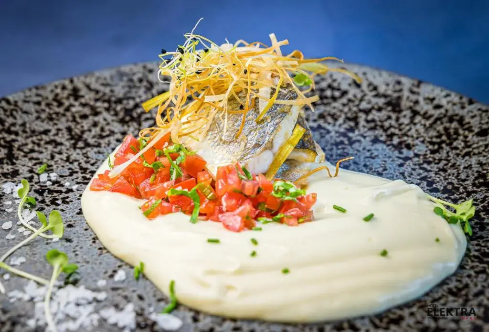 Vilele Marii Vama Veche