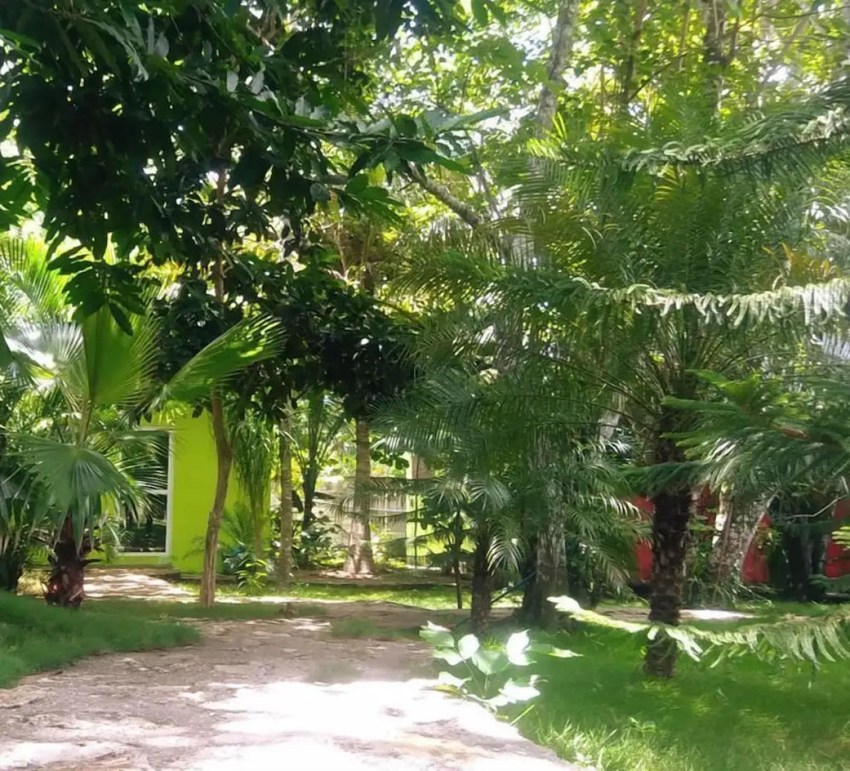 Green Jungle Hotel y Restaurante