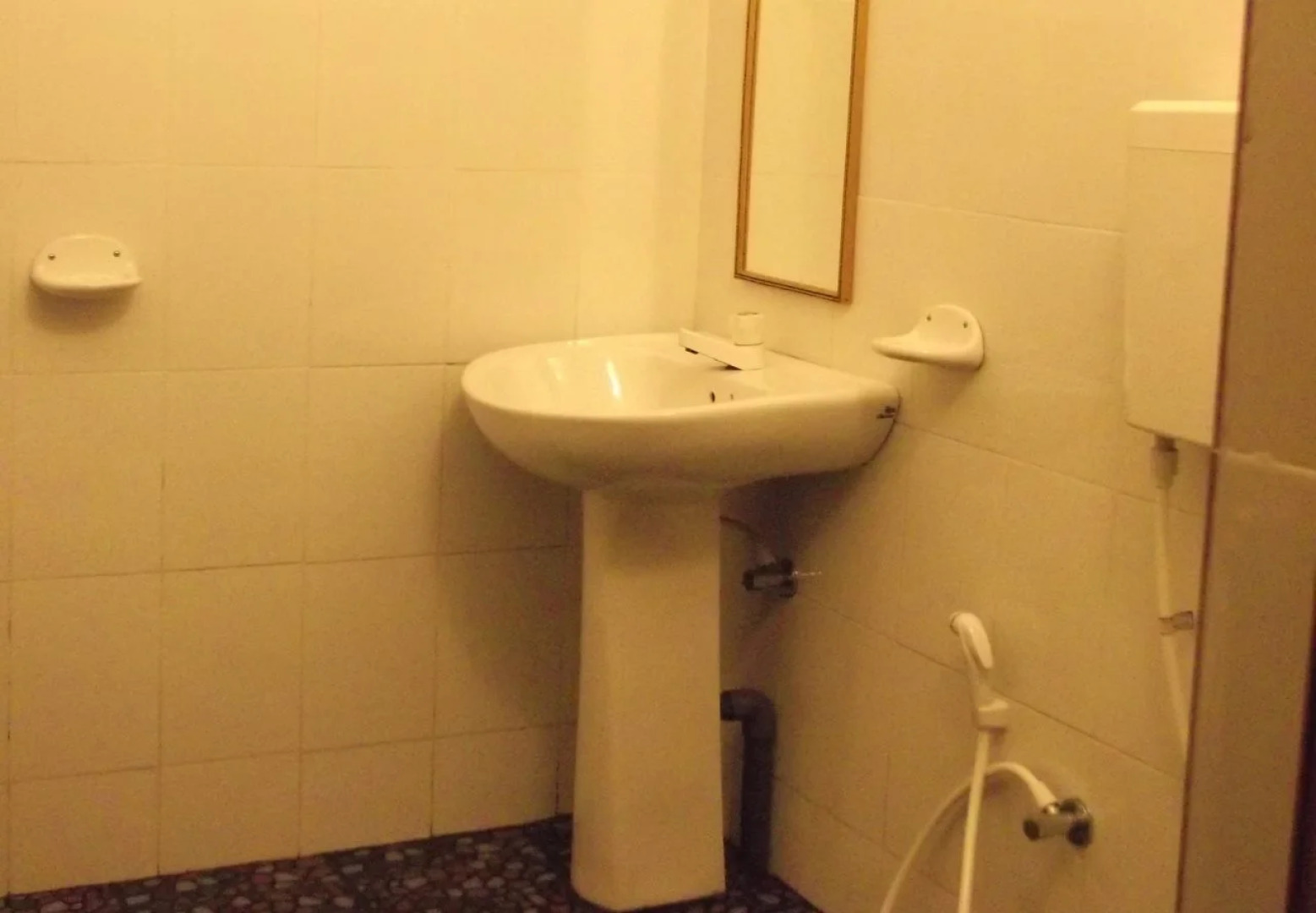 Shoba Traveller's Tree - Galle Fort