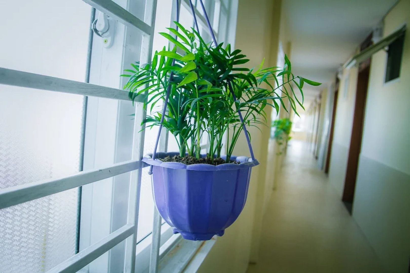 Phuong Phuong 2 Hotel