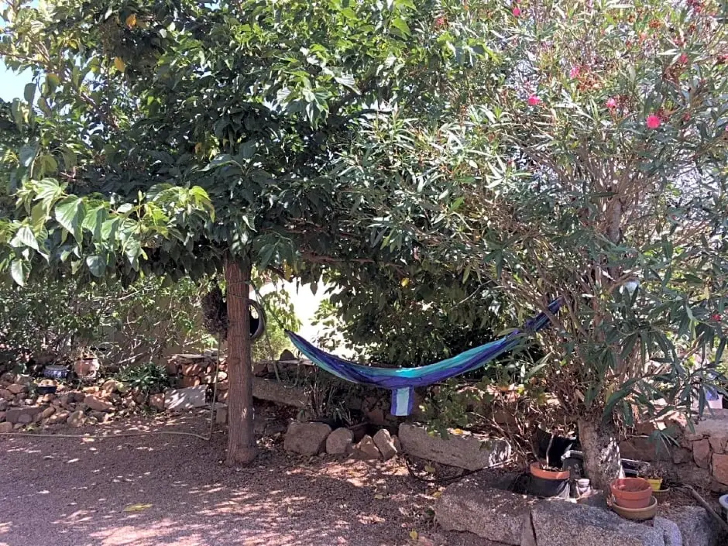 Caseddu di Chjarastella