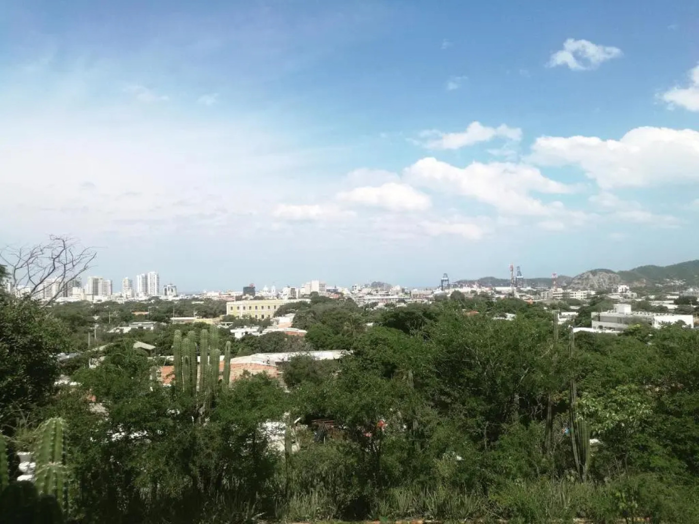 Jardin Etnobotanico Villa Ludovica