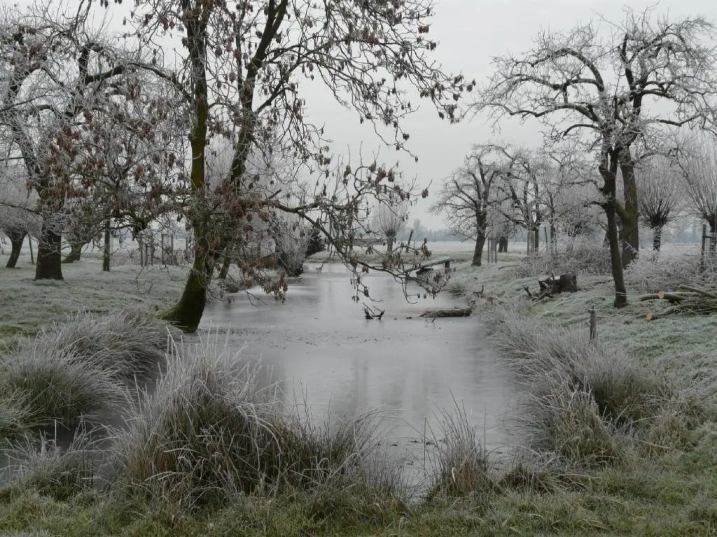 de Boomgaard Groene Hart