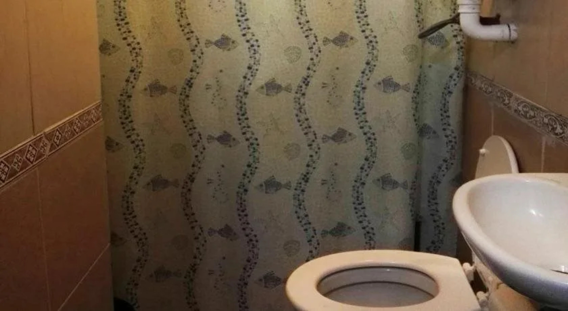 Planet Punta del Este Hostel