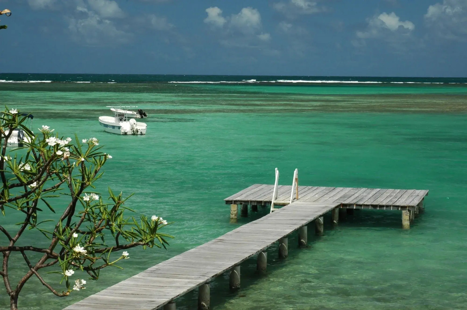 Les Bungalows de la Prairie
