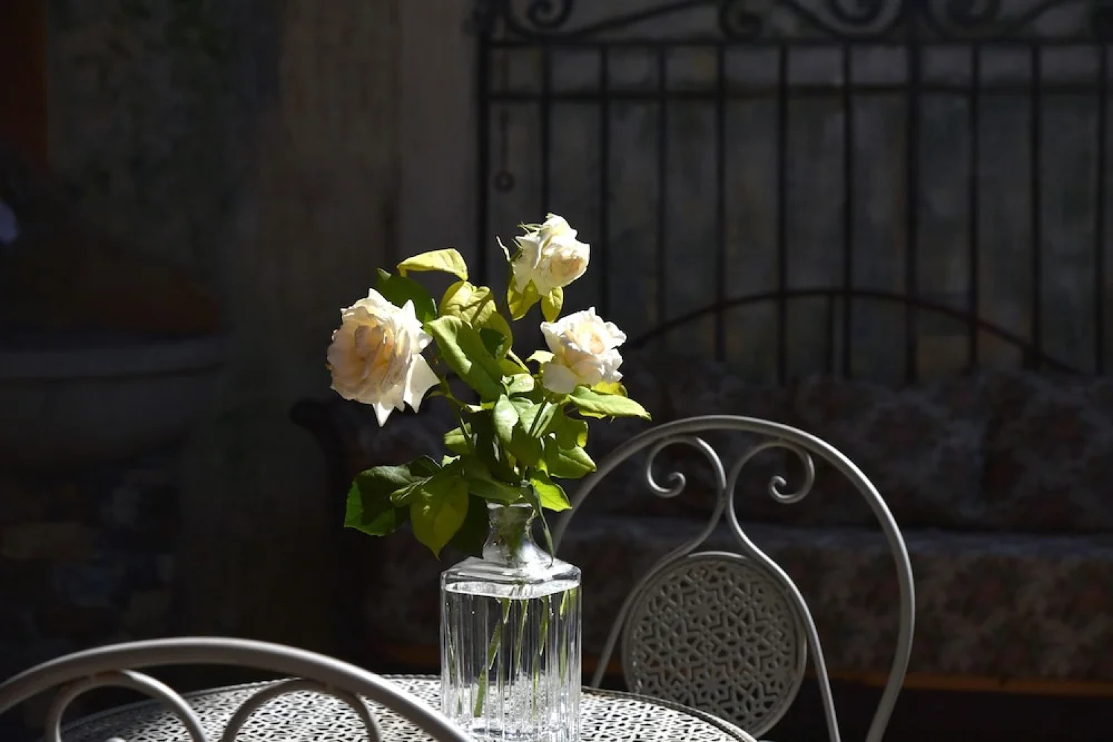 Roseto del Drago
