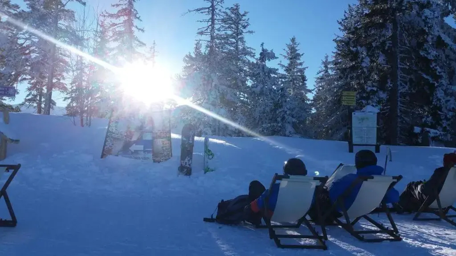 VIVA Flora apartment 607A