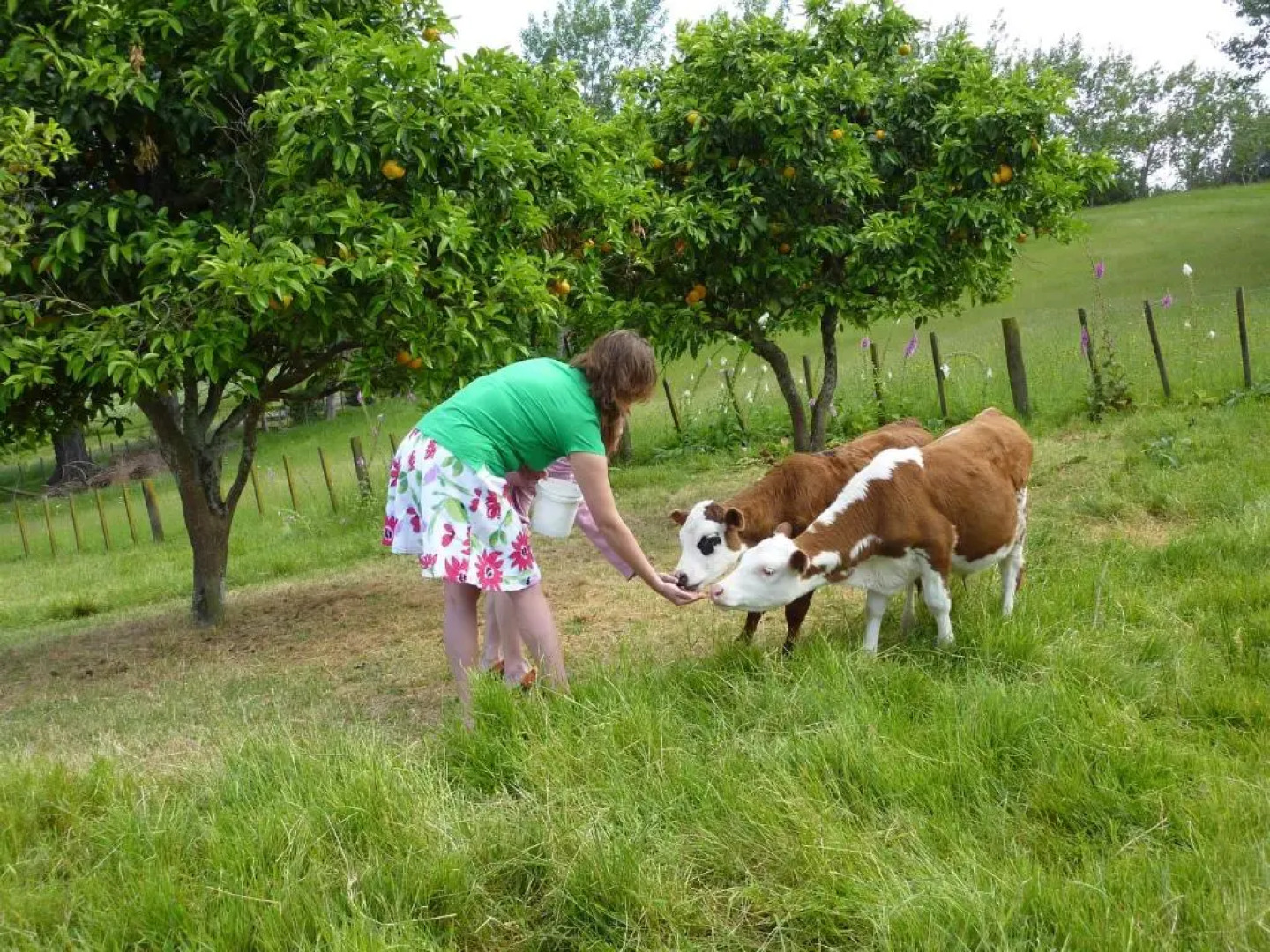 Thorold Country House