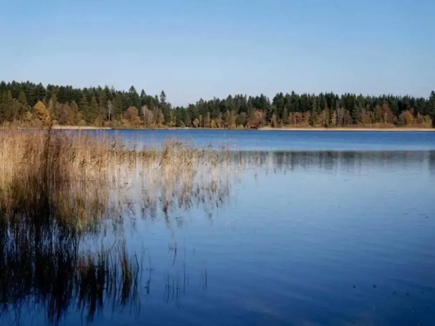 4 Star Holiday Home in Hampen