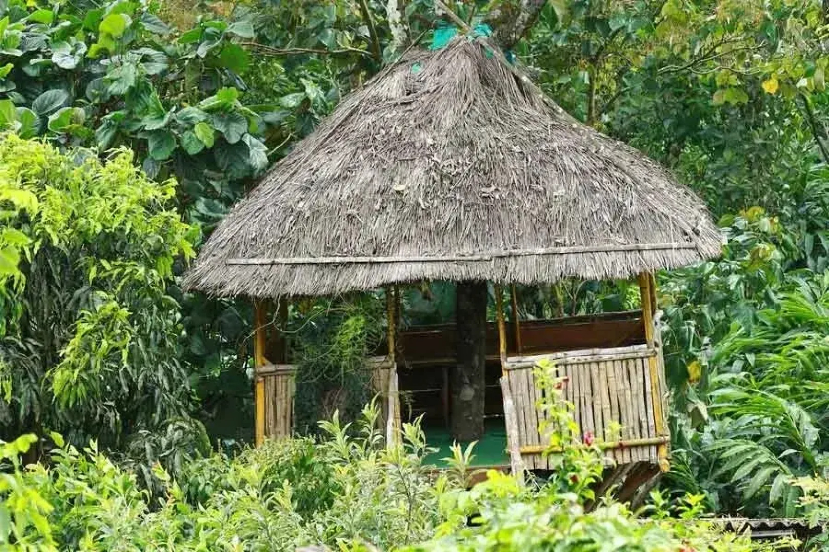 Aiswarya Spices And Dreamland