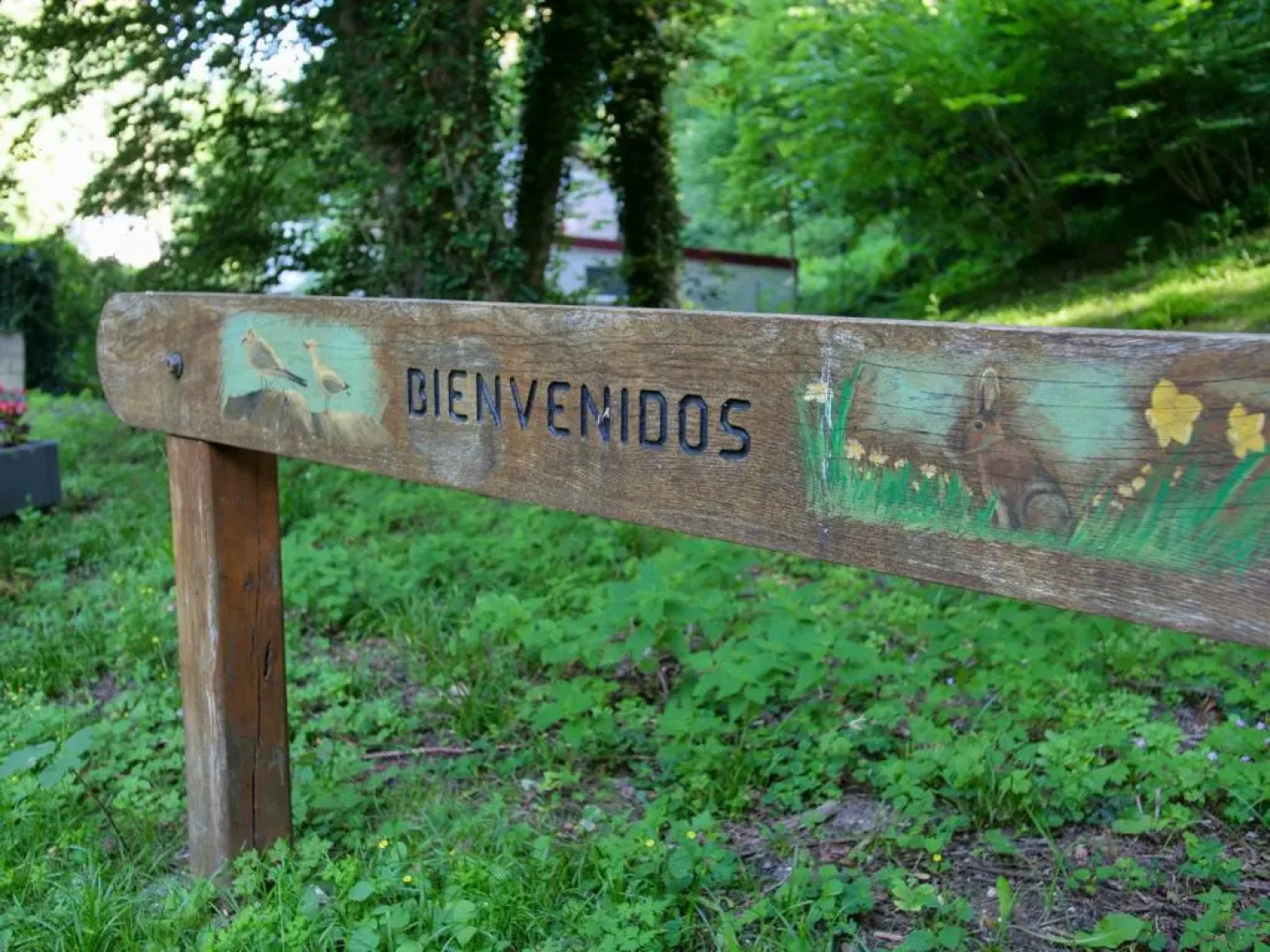 Gite du Vieux Chene - 6pers. - Jardin Arbore
