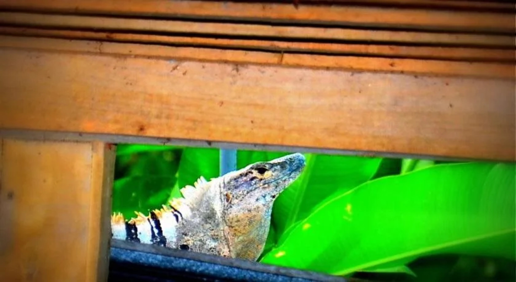 La Posada Bed & Breakfast