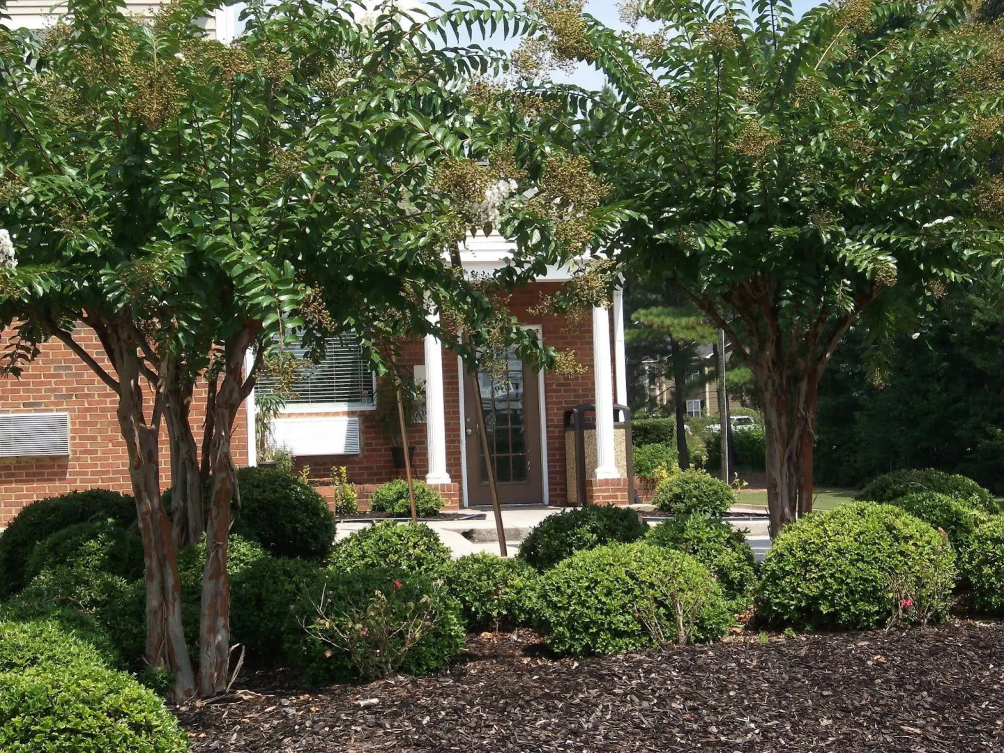 Budgetel Lithia Springs