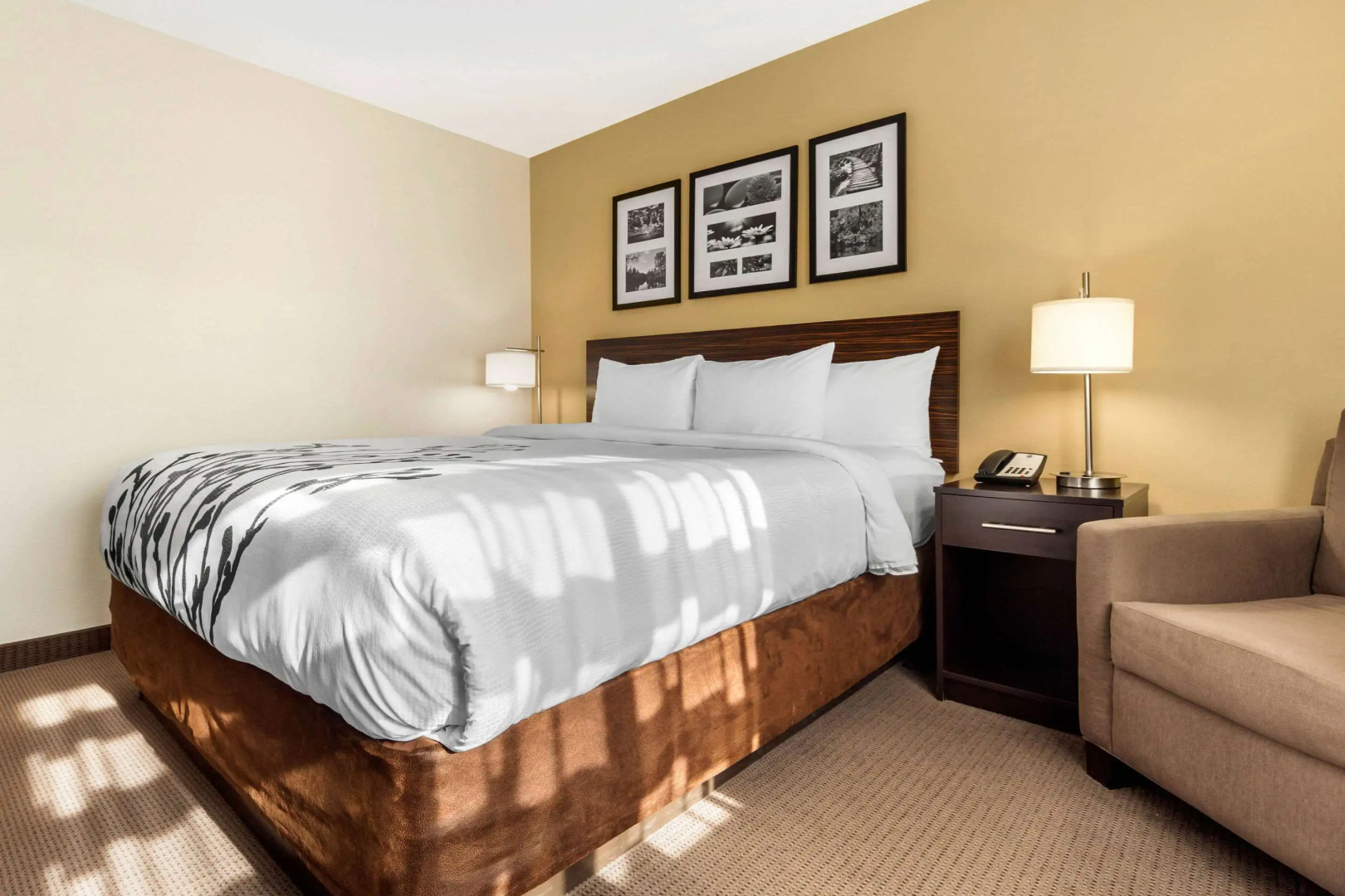 Sleep Inn And Suites