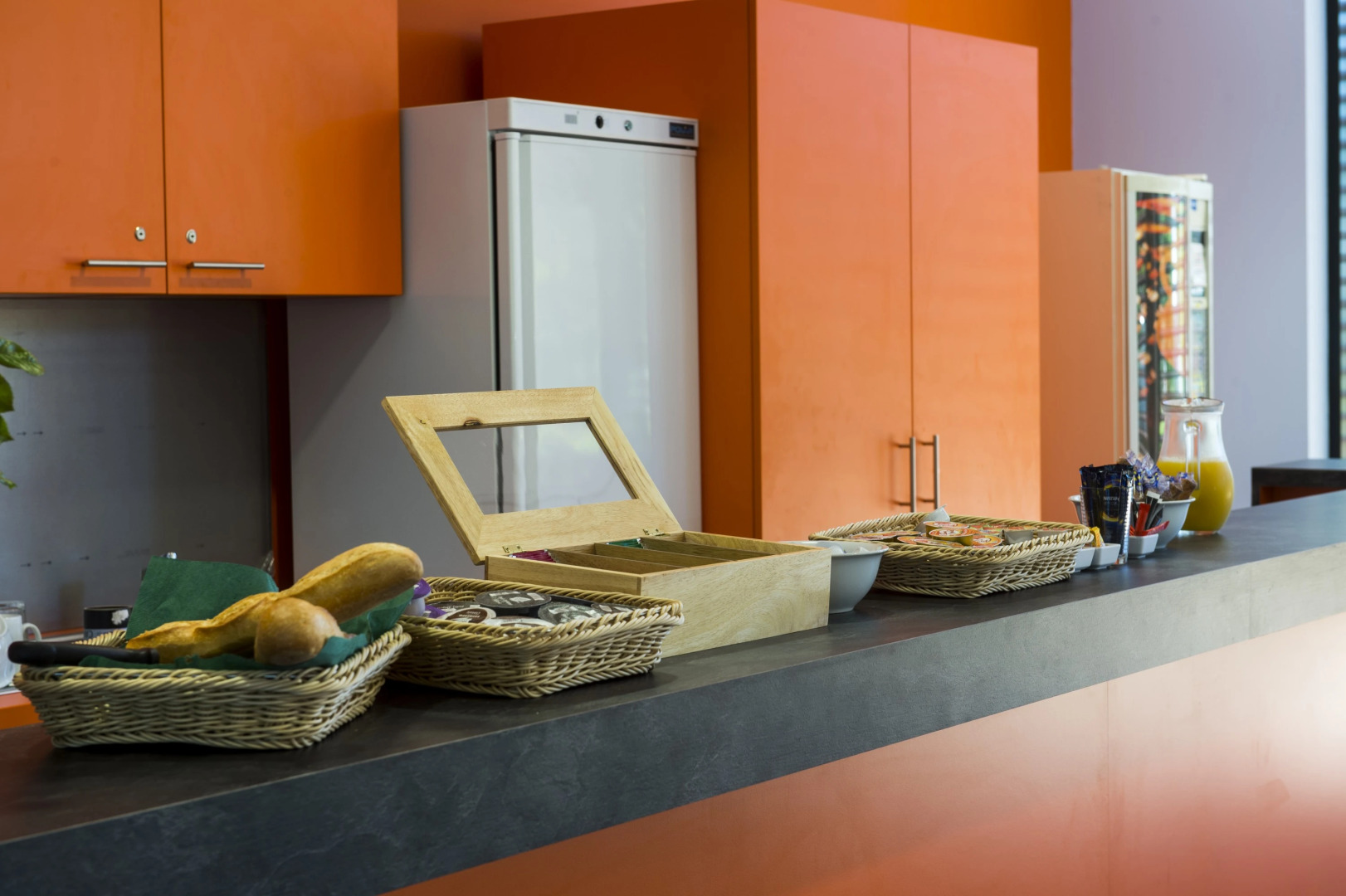 Adonis Dijon Maison Internationale