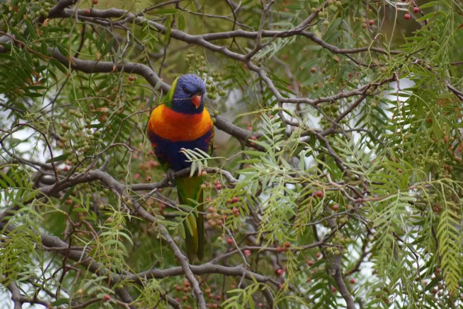 Emu Bay Holiday Homes
