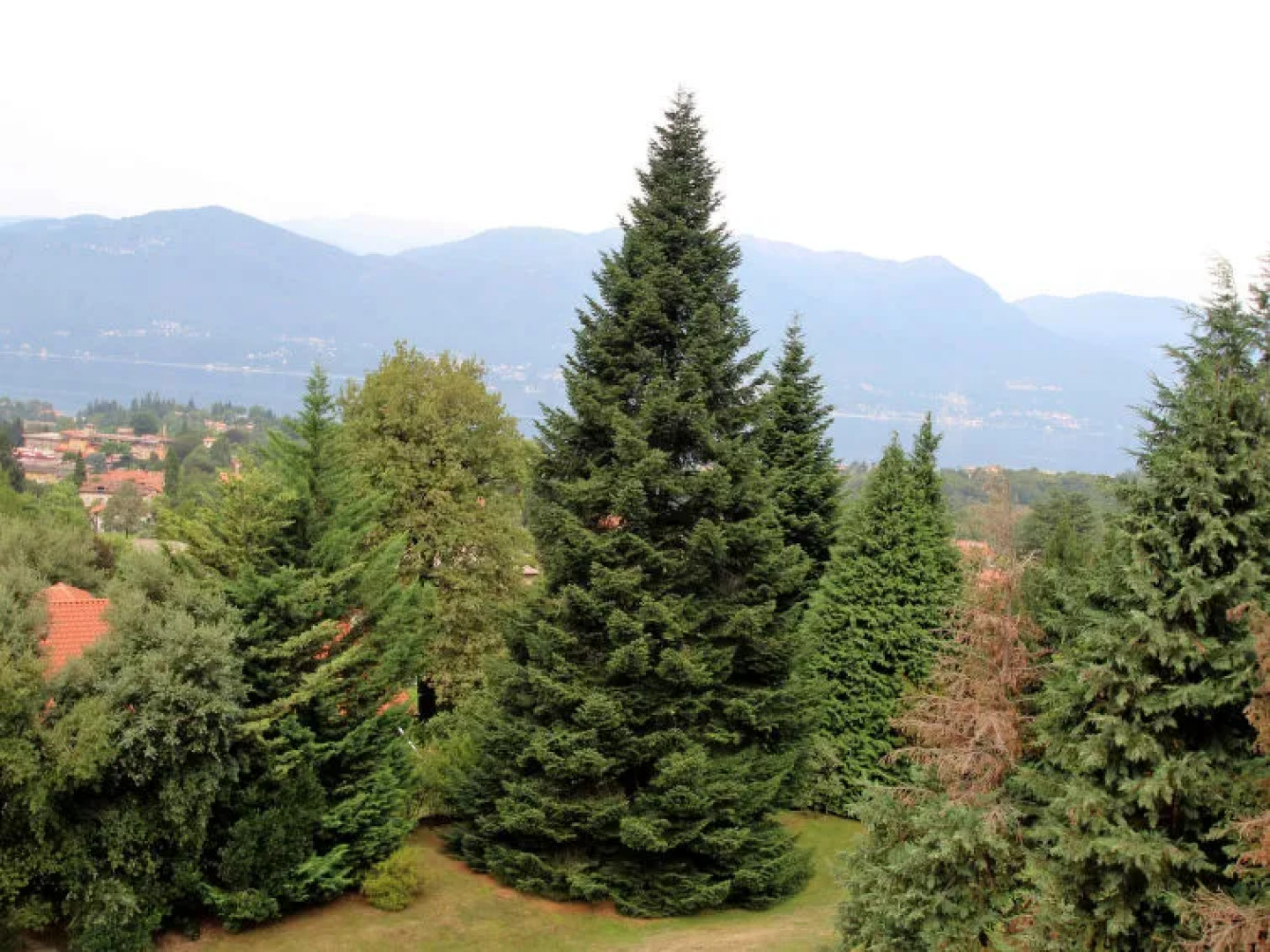 Locazione Turistica Torre