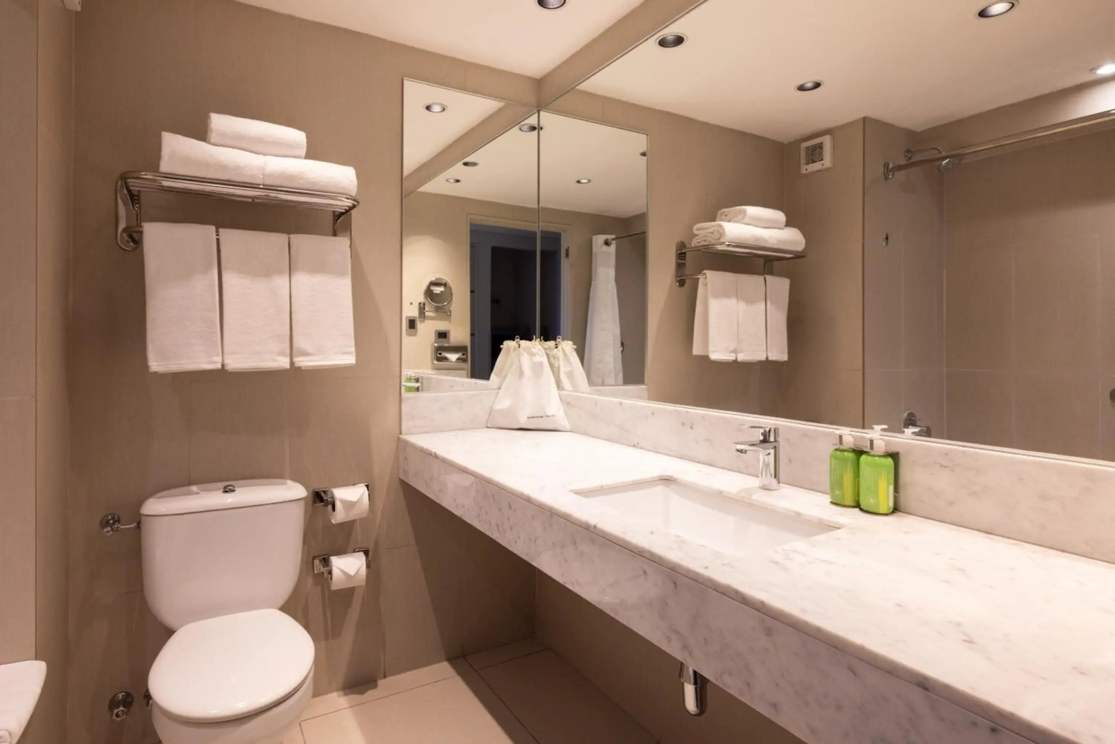 Holiday Inn Express Temuco by IHG