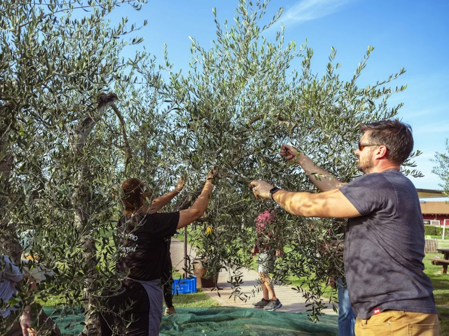 Agriturismo Pelagaccio