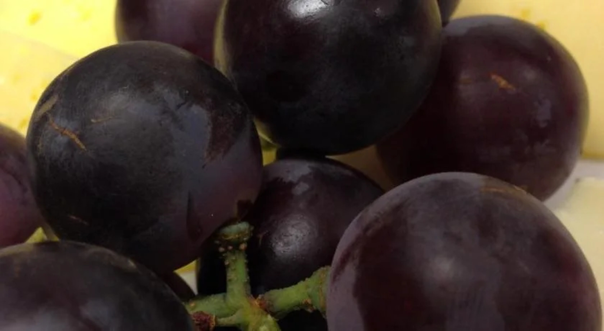 City Hotel-Pension Brandenburg