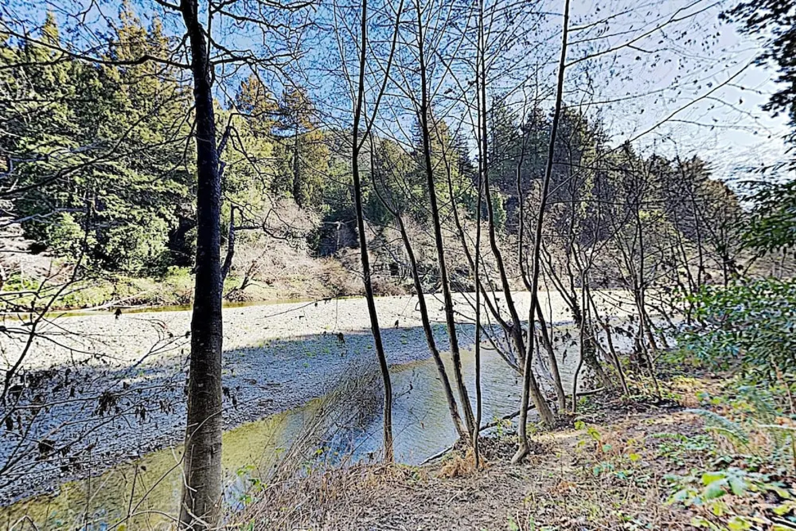 New Listing! Chic Upgraded On Austin Creek 2 Bedroom Cabin